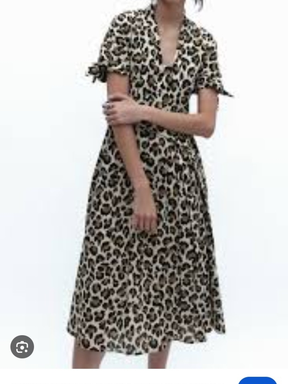 Zara Leopard-Print V-Neck Maxi Dress - Brown & Black